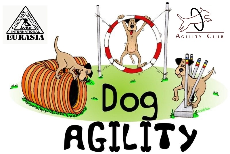 Avkif Agility Köpek Yarışmaları 2015