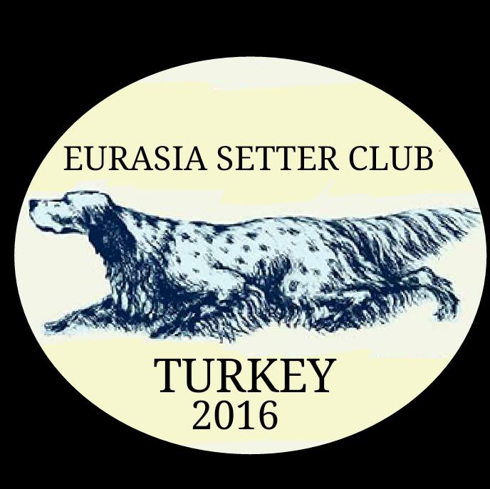 AVRASYA SETTER CLUB ( MERA- FIELD TRIAL) İZMİR –  SELÇUK 03 04 Haziran 2017
