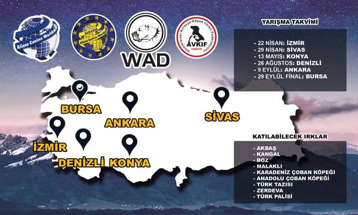 Türk Çoban Köpekleri ve Yerli Irklar  Irk Standartları Yarışması 22.04.2018 İZMİR TÜRKİYE