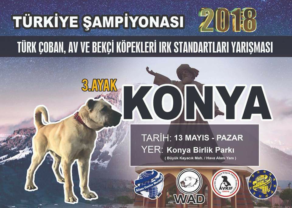 Türk Çoban Köpekleri ve Yerli Irklar  Irk Standartları Yarışması 13.05.2018  KONYA TÜRKİYE