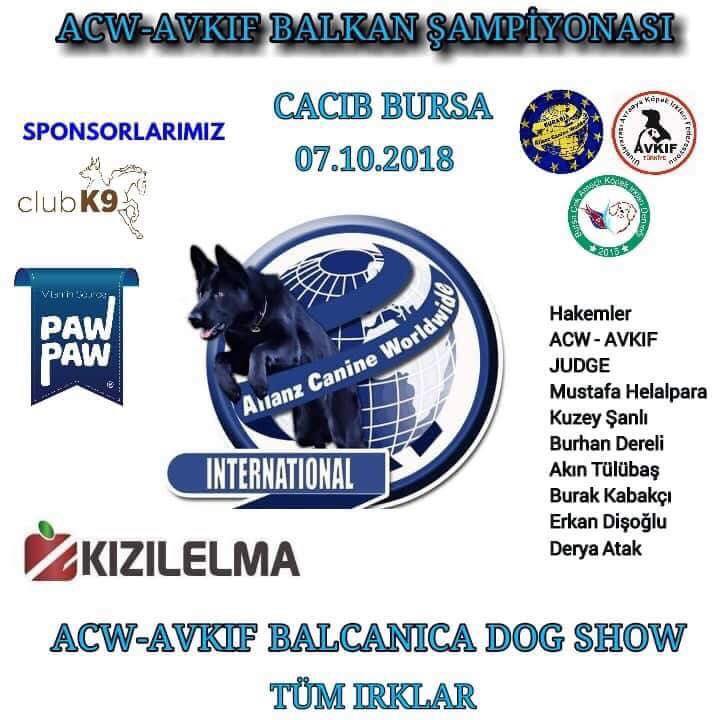 Bursa CACIB  Balkan Şampiyonası 07.10.2018