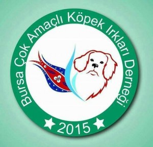 BURSA ÇAKID  ACW-AVKIF SEARCH DOG SHOW (ARAMA BULMA DOG SHOW) NİSAN 2019