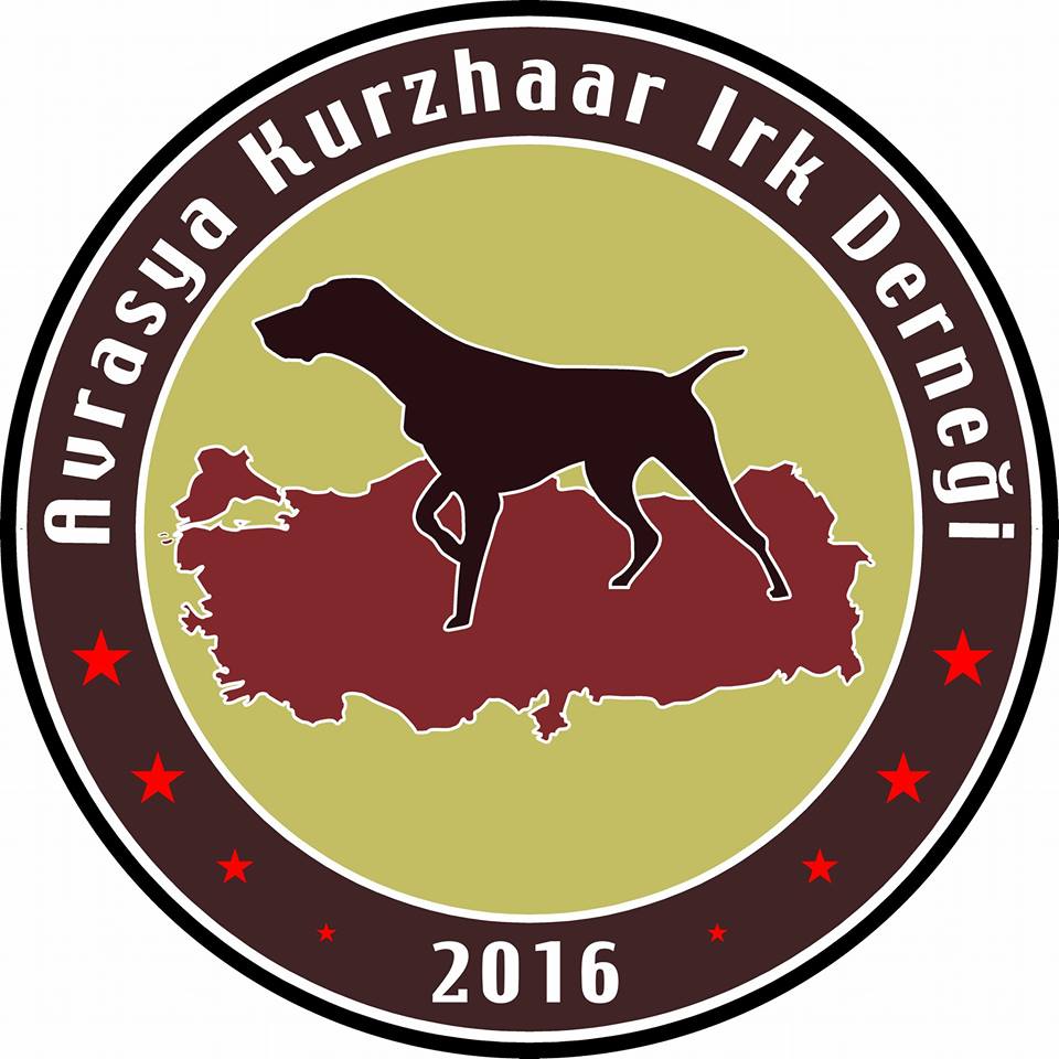 BALIKESİR  IGS . Av Köpekleri Mera ve Irk Standartları Yarışması  Avrasya Kurzhaar Irk Derneği 2019