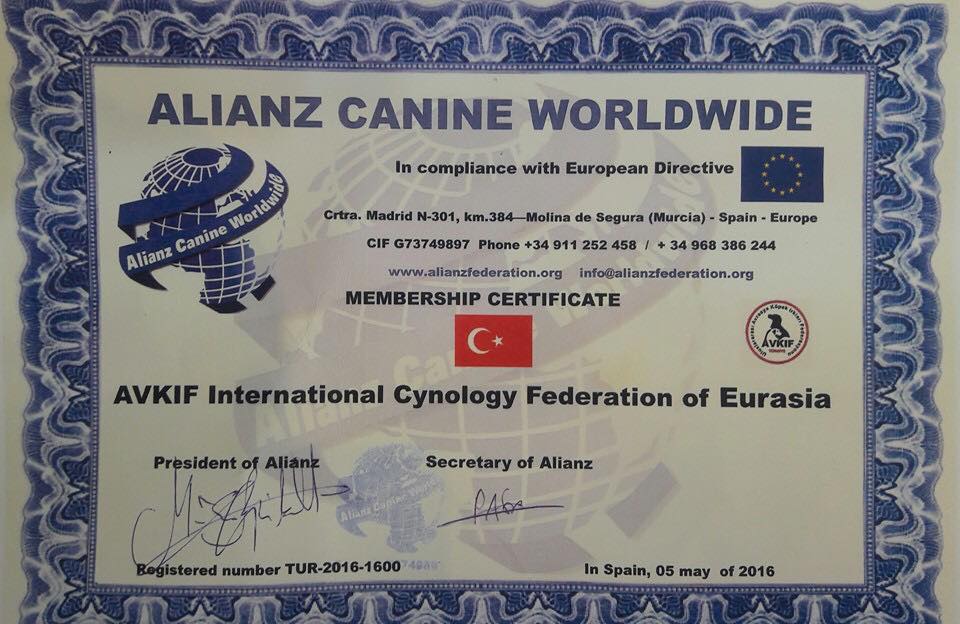 Türkiyenin Resmi Kinoloji Köpek Kedi Otantik Irklar Federasyonu
