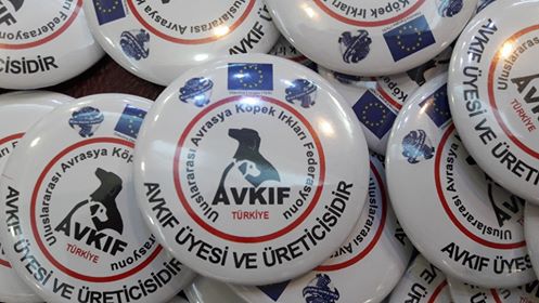 Türkiyenin Resmi Köpek Irk Federasyonu Avkif Turkey Cynology Federation