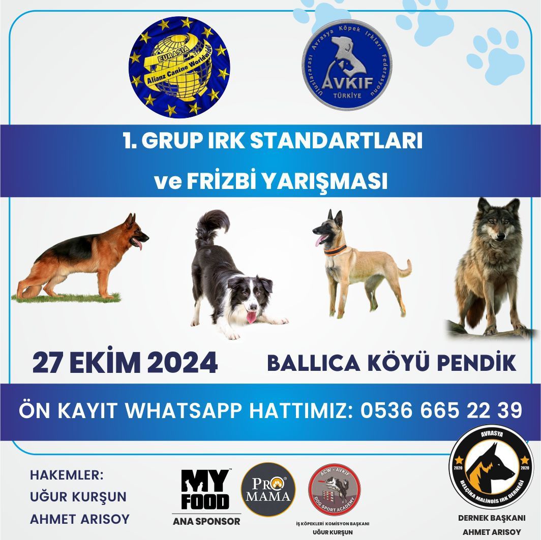 1.GRUP IRK STANDARTLARI VE FRIZBI ETKİNLİLİĞİ