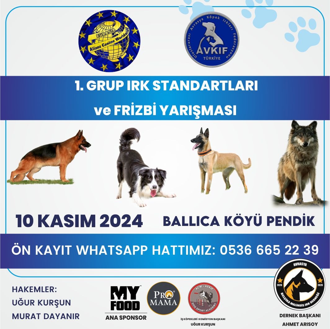 1.GRUP IRK STANDARTLARI VE FRIZBI ETKİNLİLİĞİ 10 KASIM 2024 İSTANBUL