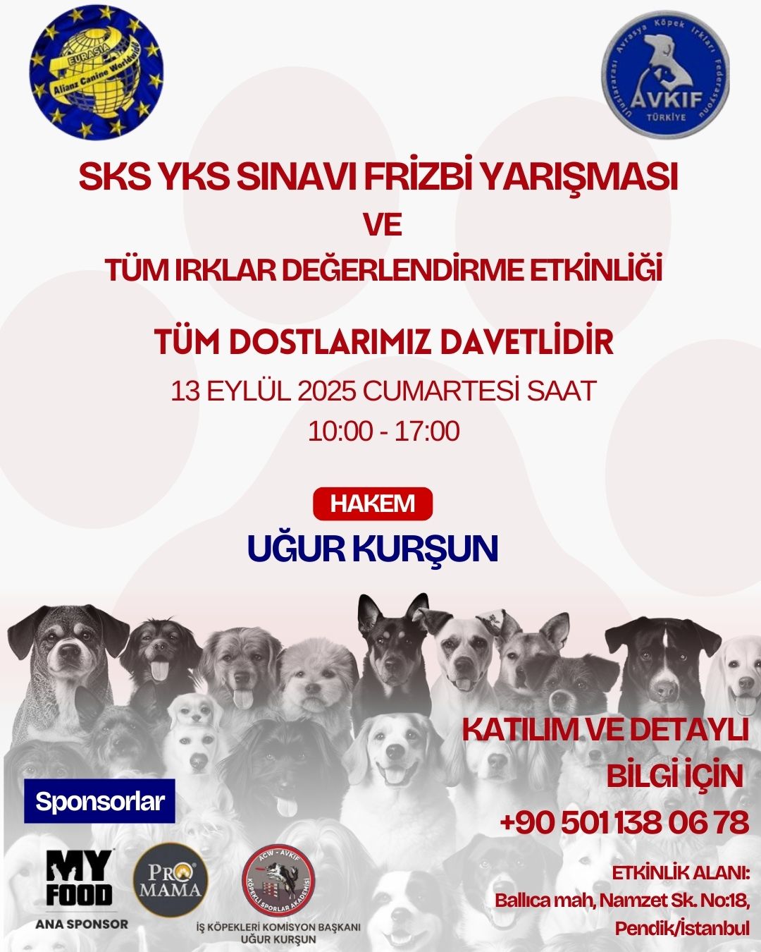 Irk Standartları YKS ve SKS - EYLÜL 13 2025