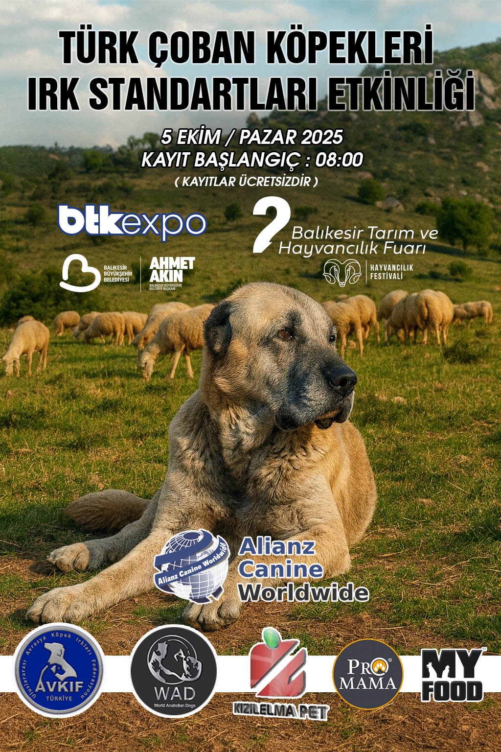 Türk Çoban Köpekleri Irk Standartları Etkinliği 5 EKİM 2025