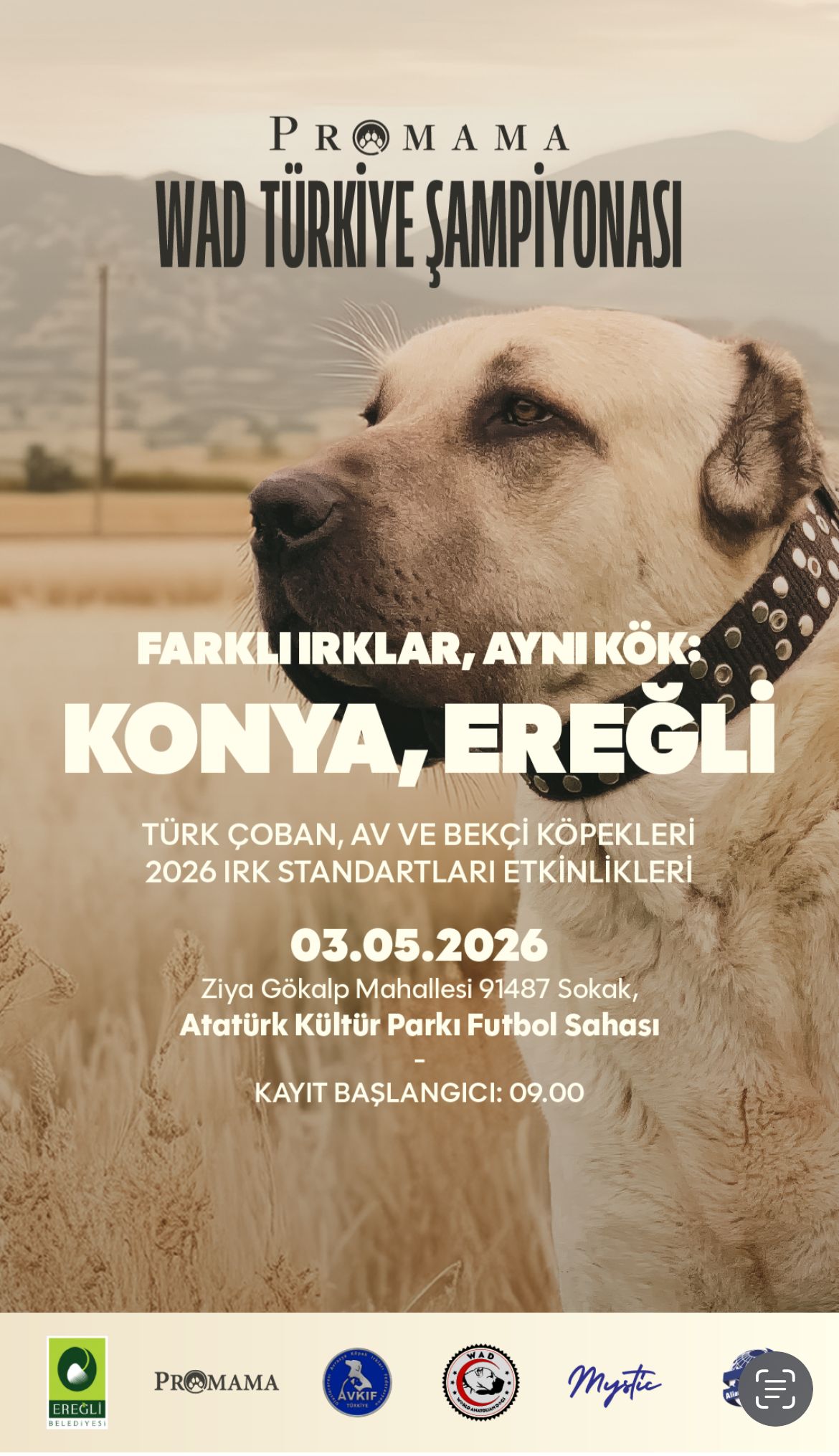 WAD KONYA EREĞLİ YERLİ IRKLAR IRK STANDARTLARI 03.05.2026
