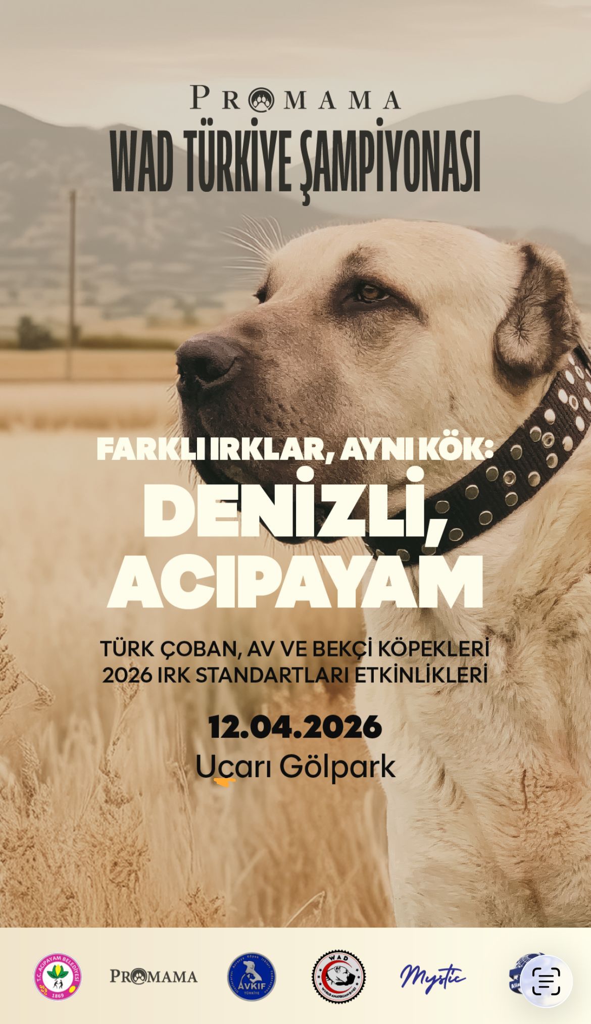 WAD DENİZLİ ACIPAYAM YERLİ IRKLAR IRK STANDARTLARI 12.04.2026