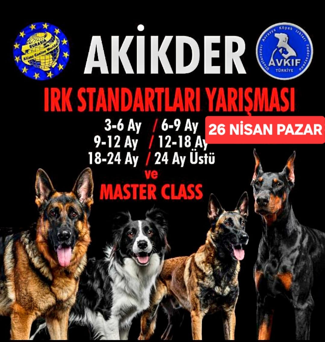 AKİKDER IRK STANDARTLARI YARIŞMASI - 26.04.2026