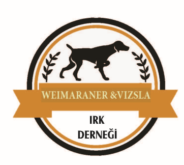 Weimaraner  & Vizsla Irk Derneği